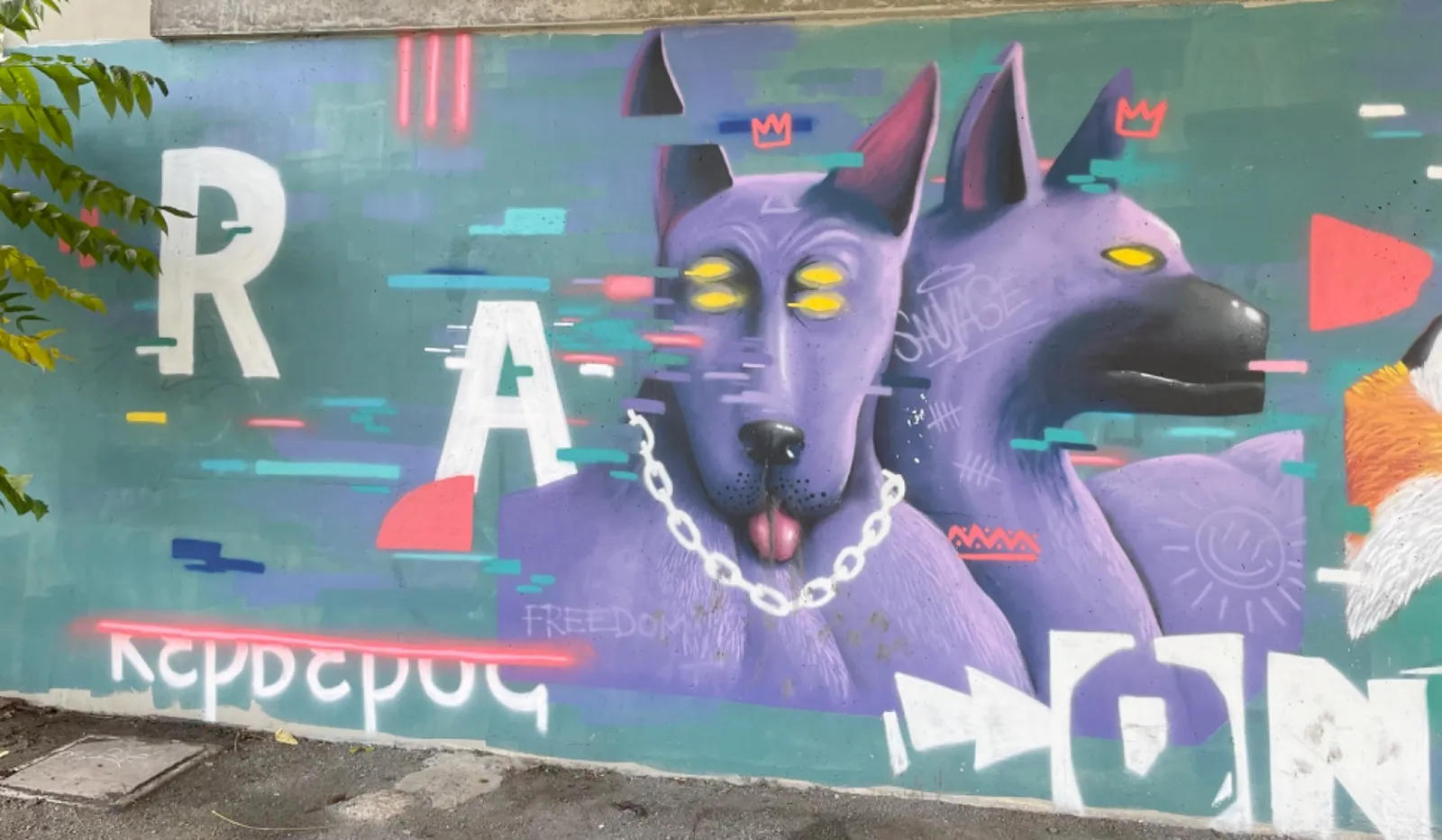 Dogs