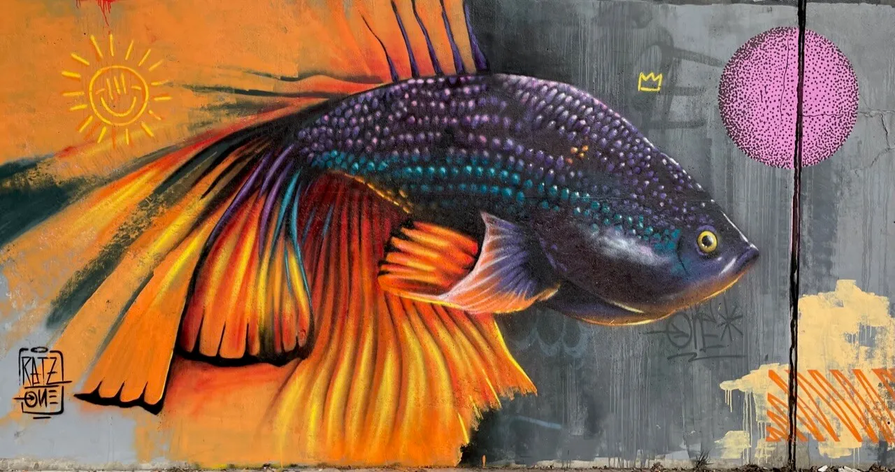 The Fish