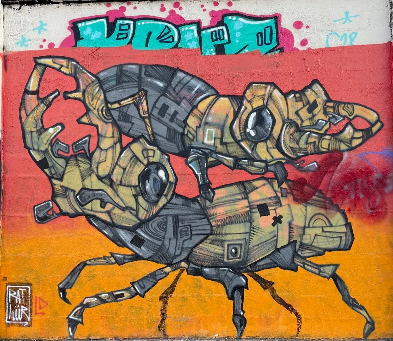 Ants
