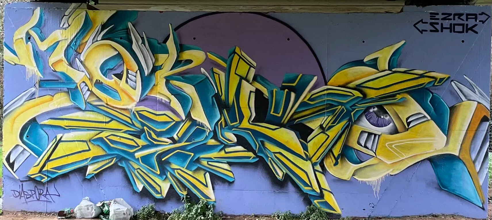 Diaspora