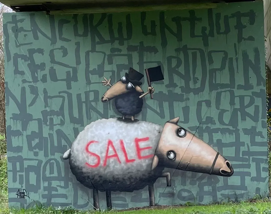 Sheep