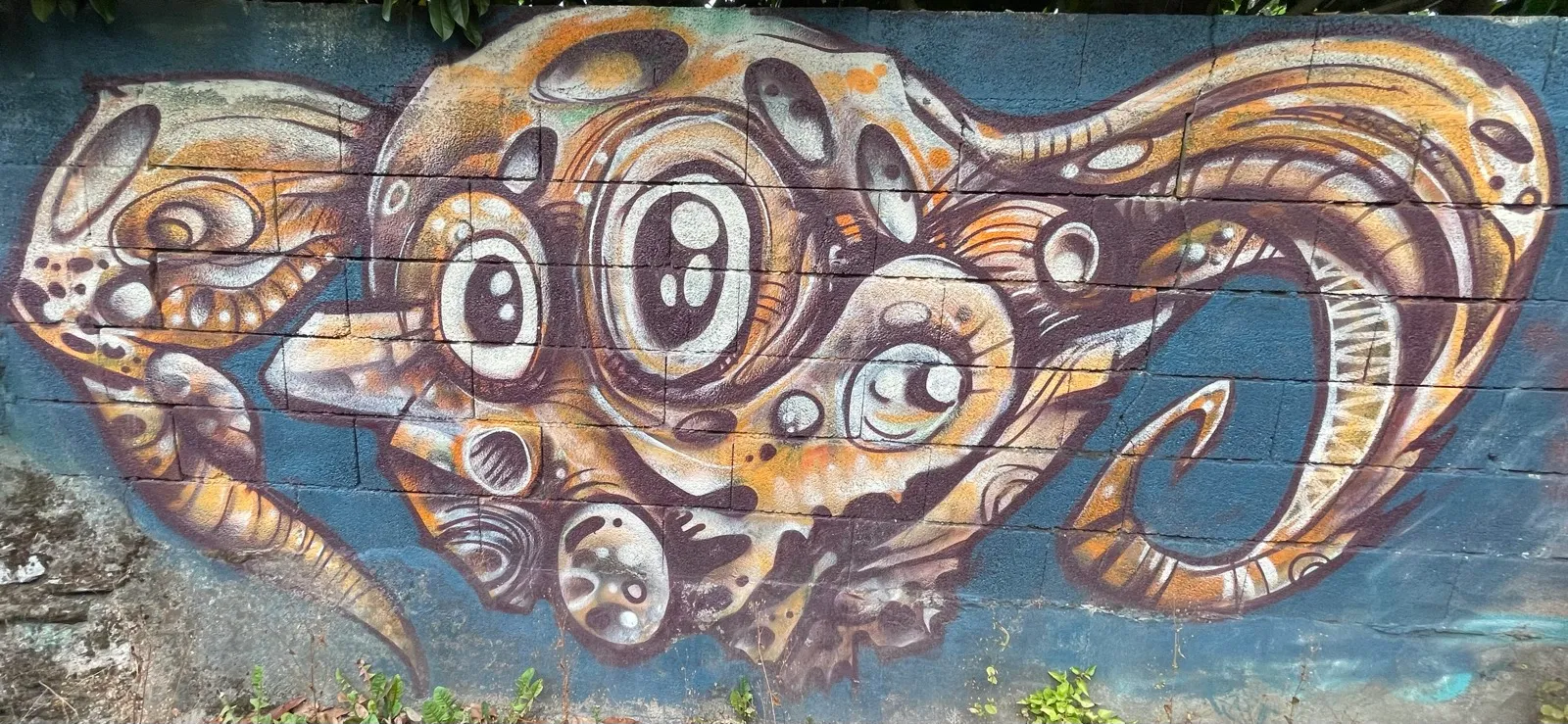 Octopus
