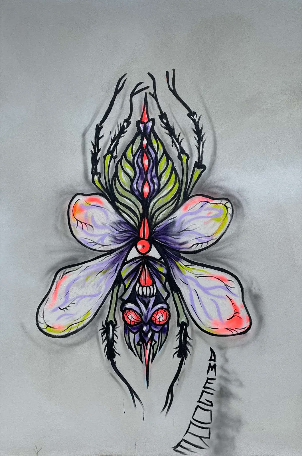 The Fly