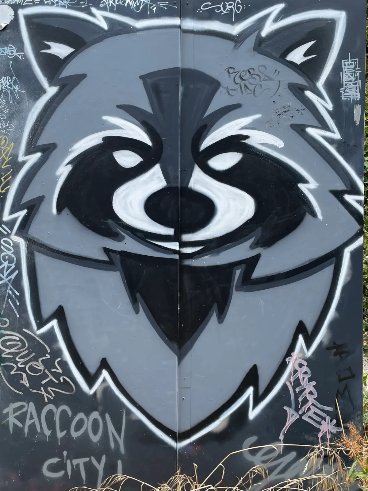 Raccoon City
