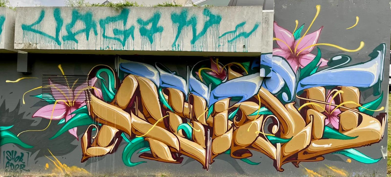 Unknown