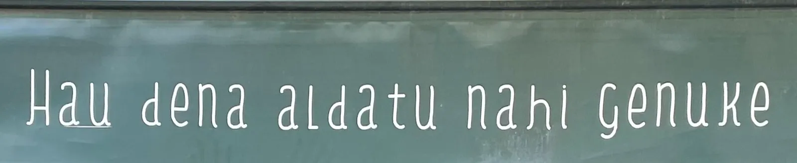 Hau dena aldatu nahi genuke